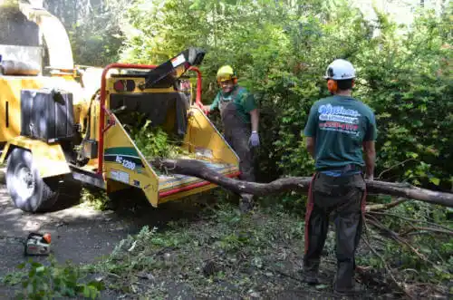 tree services Lavaca